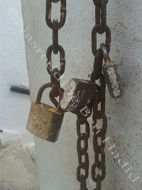 photo 51