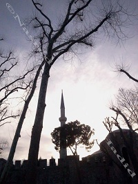 photo 68s