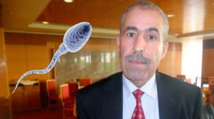 العكرمي