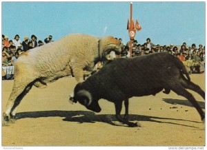 bélier