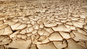la-tunisie-commence-a-subir-les-effets-du-rechauffement-climatique