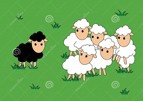 http://www.dreamstime.com/royalty-free-stock-image-black-white-sheep-black-sheep-different-alone-vector-illustration-image51112176