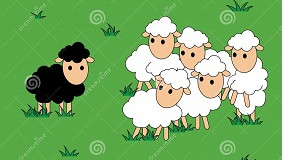 http://www.dreamstime.com/royalty-free-stock-image-black-white-sheep-black-sheep-different-alone-vector-illustration-image51112176